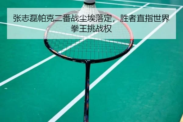 zhang-zhi-lei-pa-ke-er-fan-zhan-chen-ai-luo-ding-sheng-zhe-zhi-zhi-shi-jie-quan-wang-tiao-zhan-quan-3-878.jpg