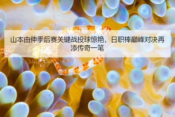 shan-ben-you-shen-ji-hou-sai-guan-jian-zhan-tou-qiu-jing-yan-ri-zhi-bang-dian-feng-dui-jue-zai-tian-chuan-qi-yi-bi-3-237.jpg