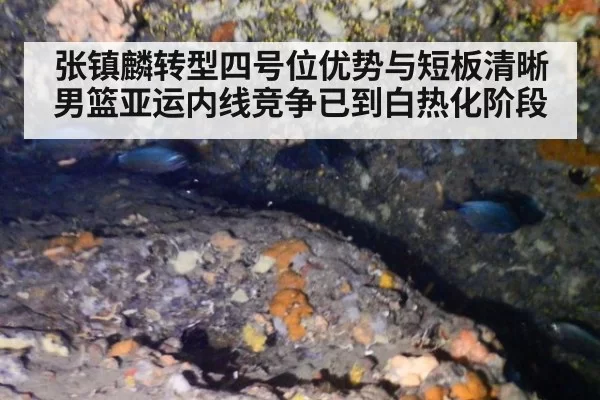 张镇麟转型四号位优势与短板清晰 男篮亚运内线竞争已到白热化阶段