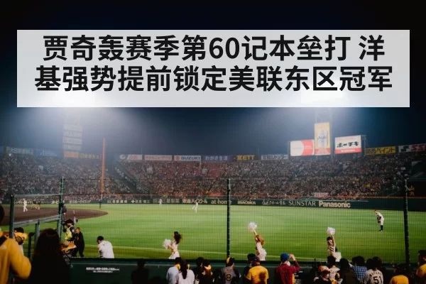 baseball stadium crowd night